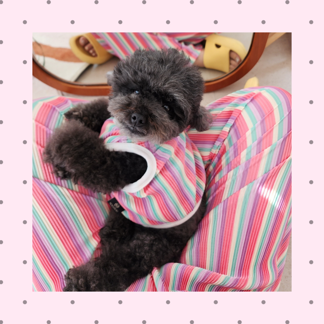 SALEカラフルピンクT &ズボン