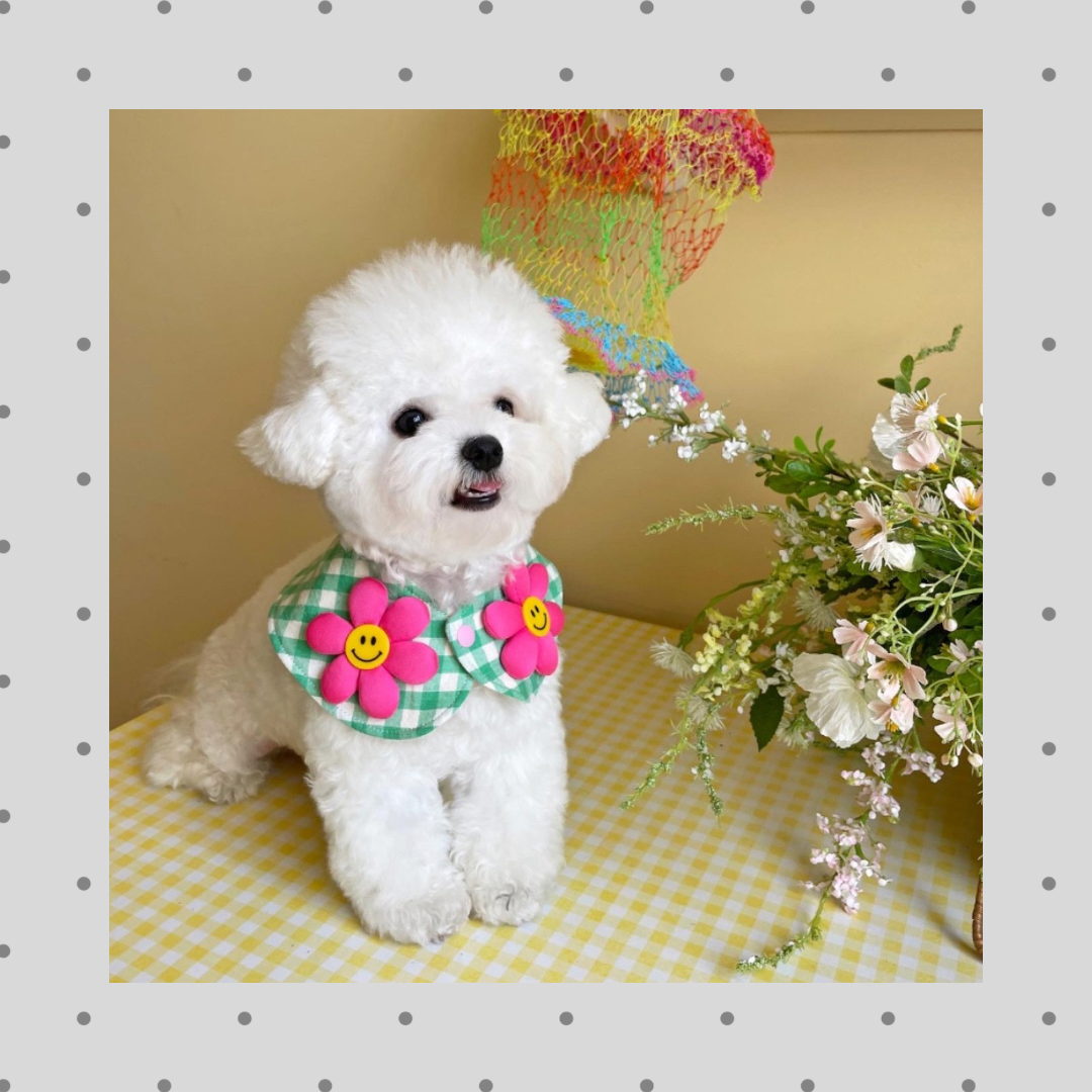 SALE Hug me more check smiley(green)