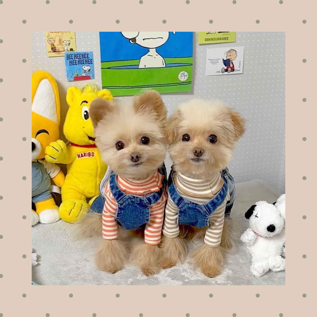 ウォッシュデニムオールインワン