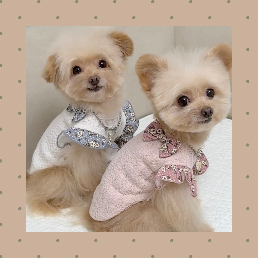 クーリオフリルT