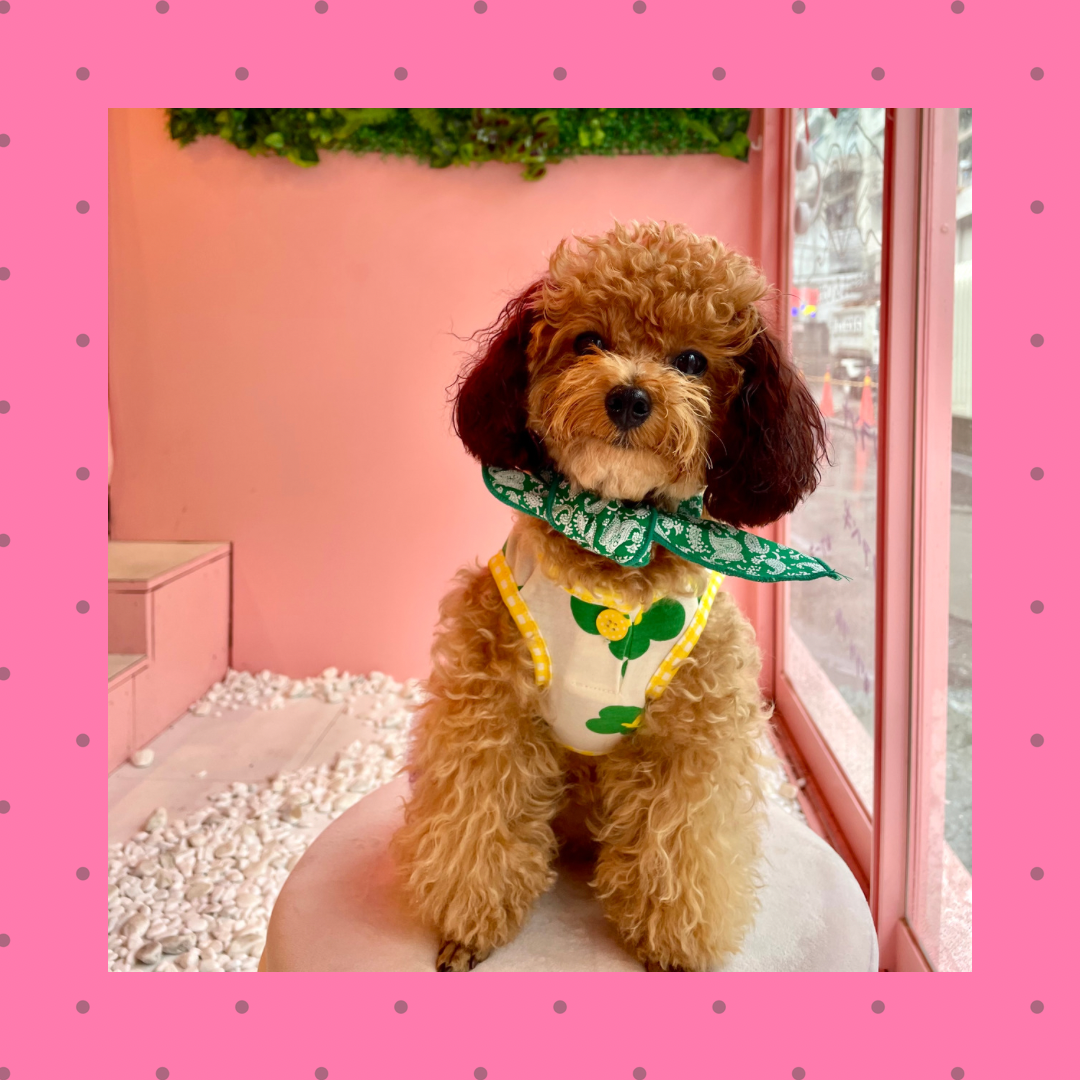 バンダナスカーフ