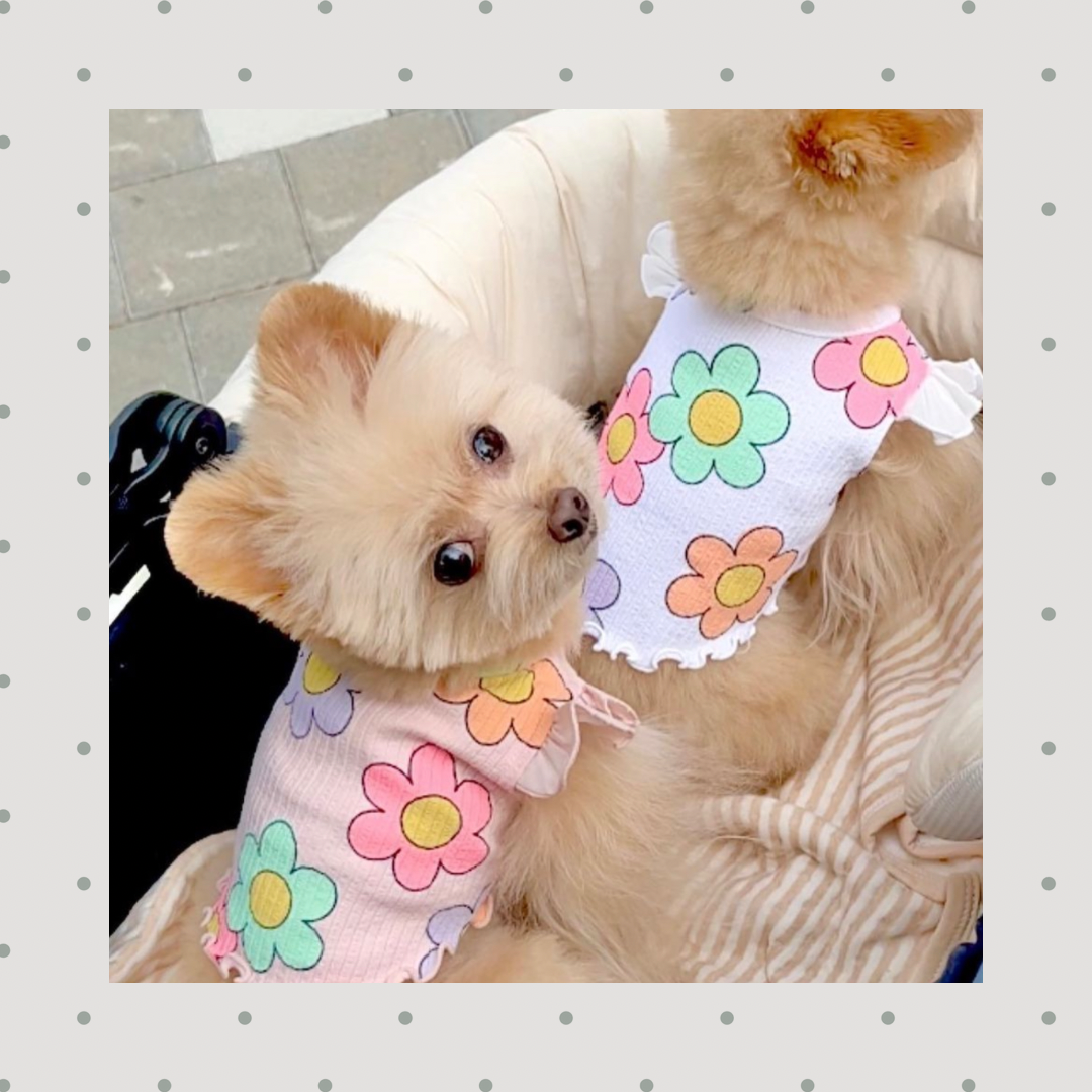 SALEフラワーフリルT