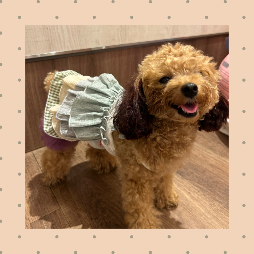 SALEフリルカジュアルワンピース