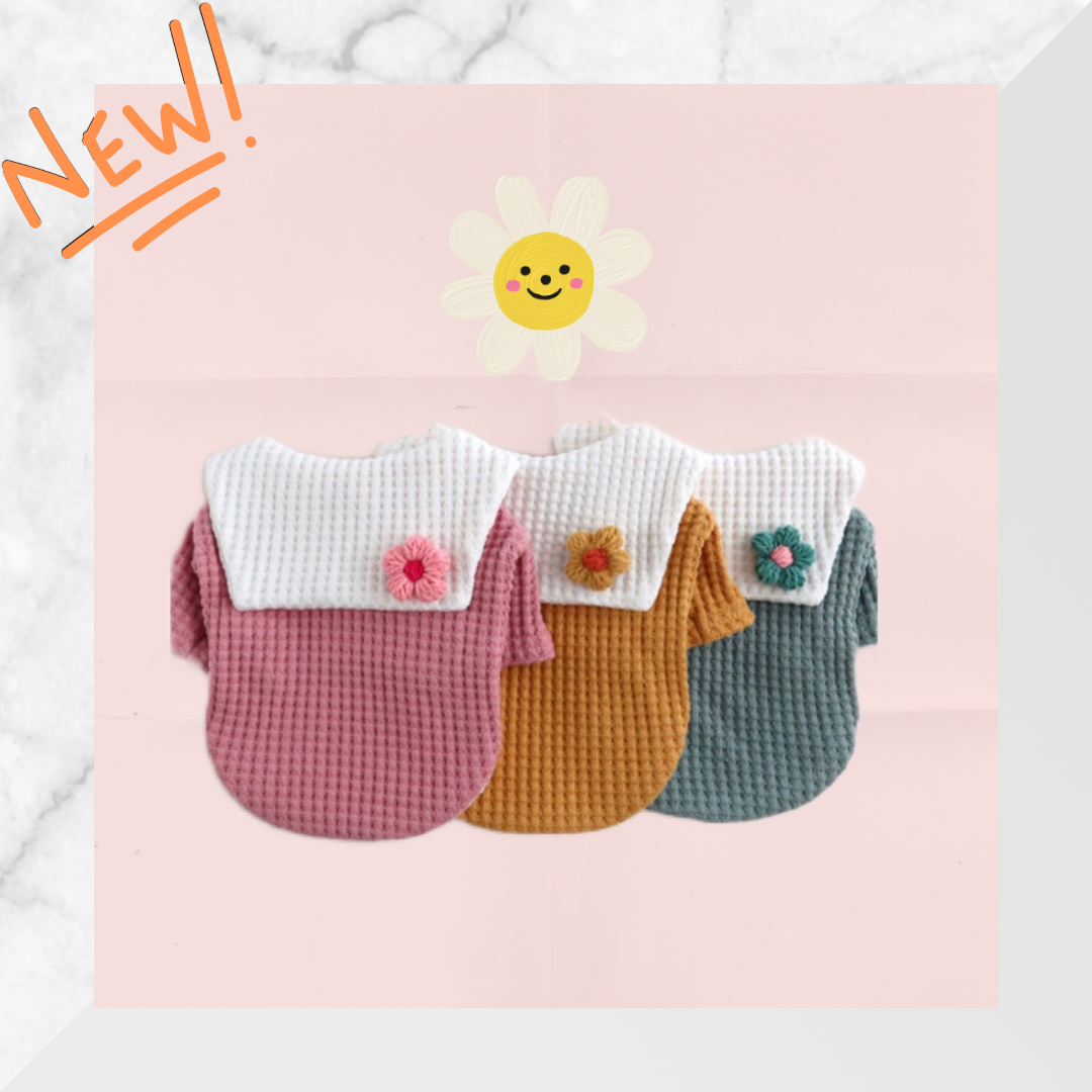 セーラーカラーTシャツ