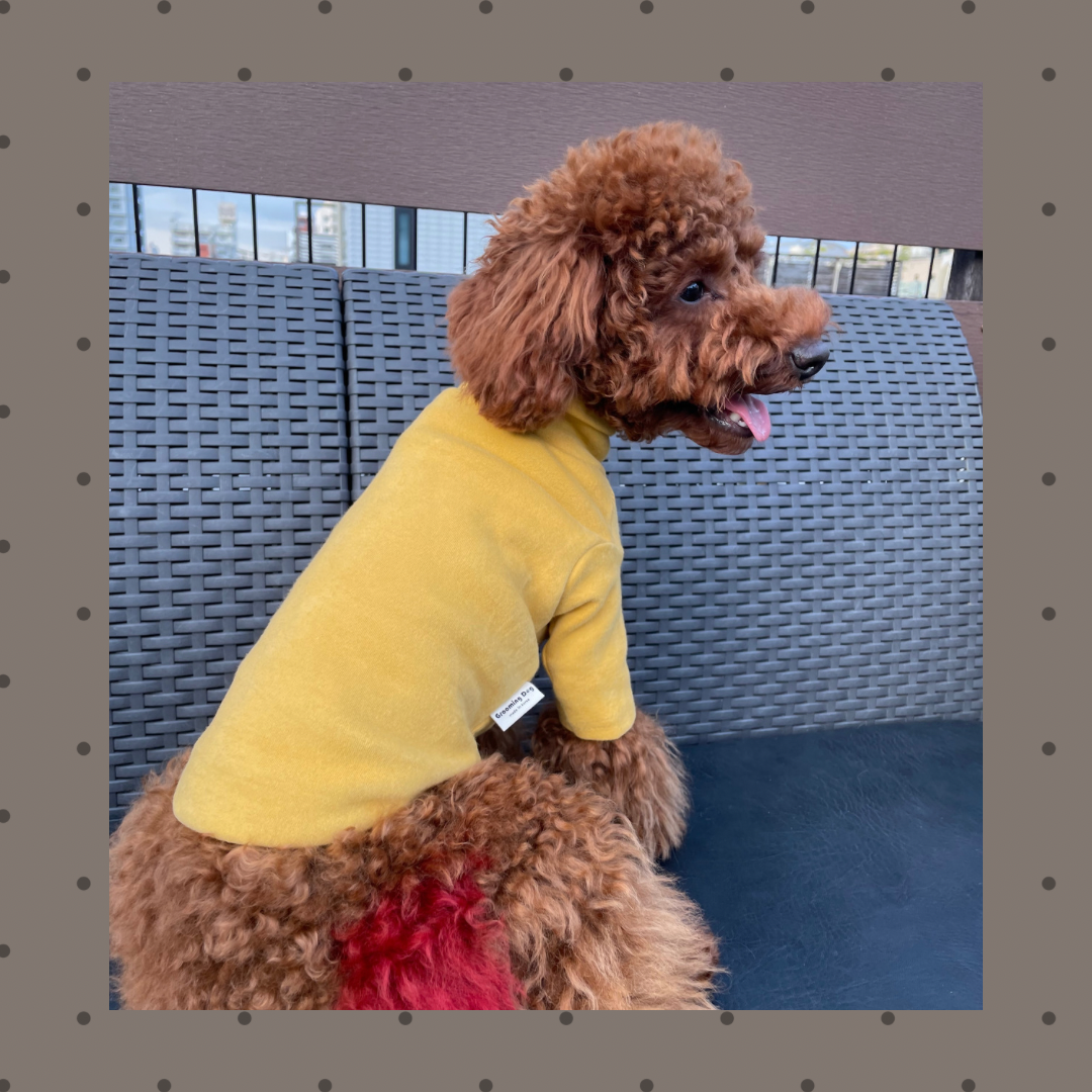 タートルネックT