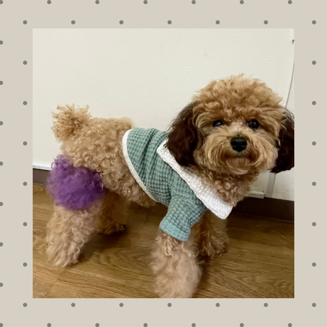 セーラーカラーTシャツ