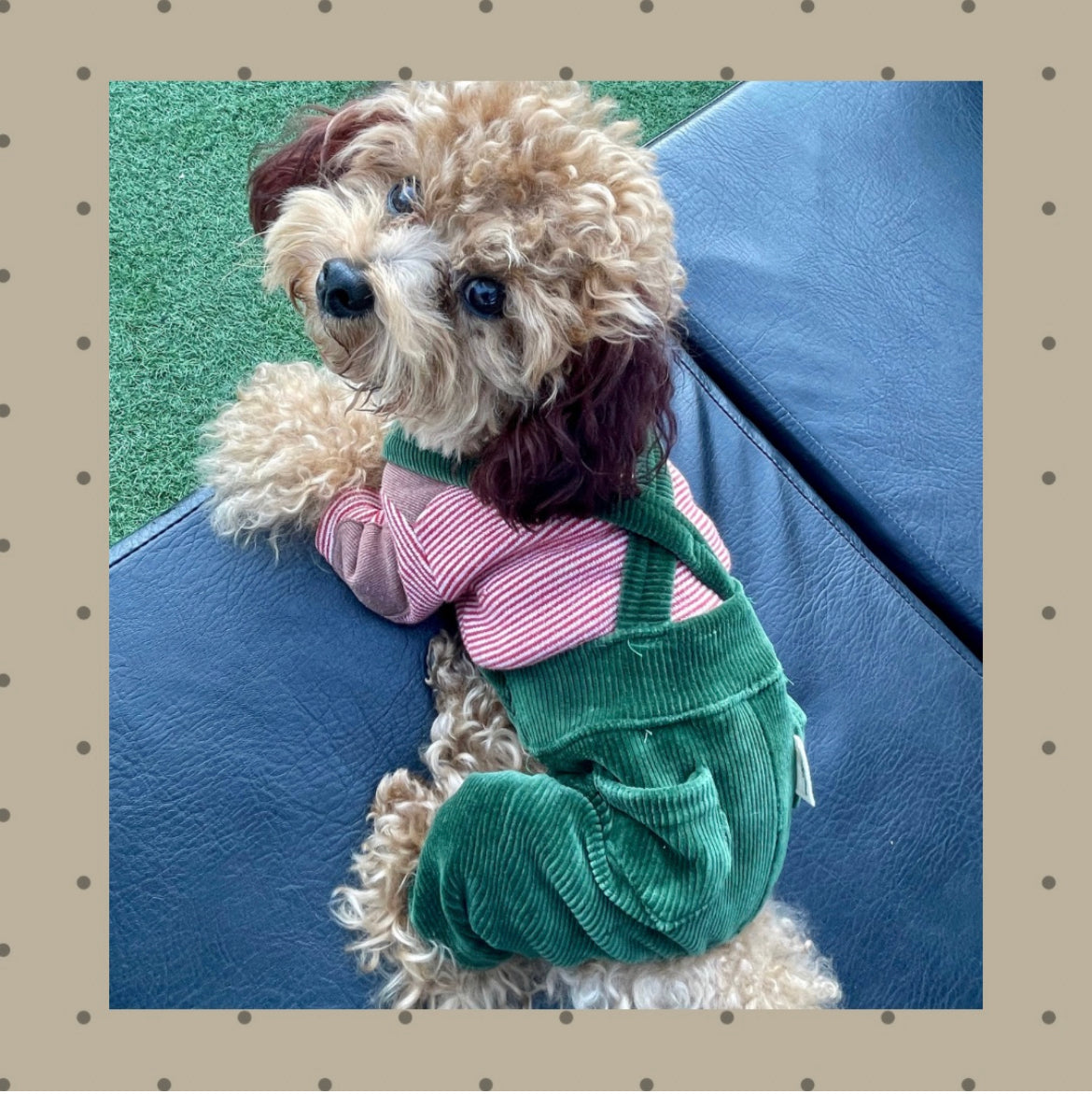 SALEストライプパッチTシャツ※