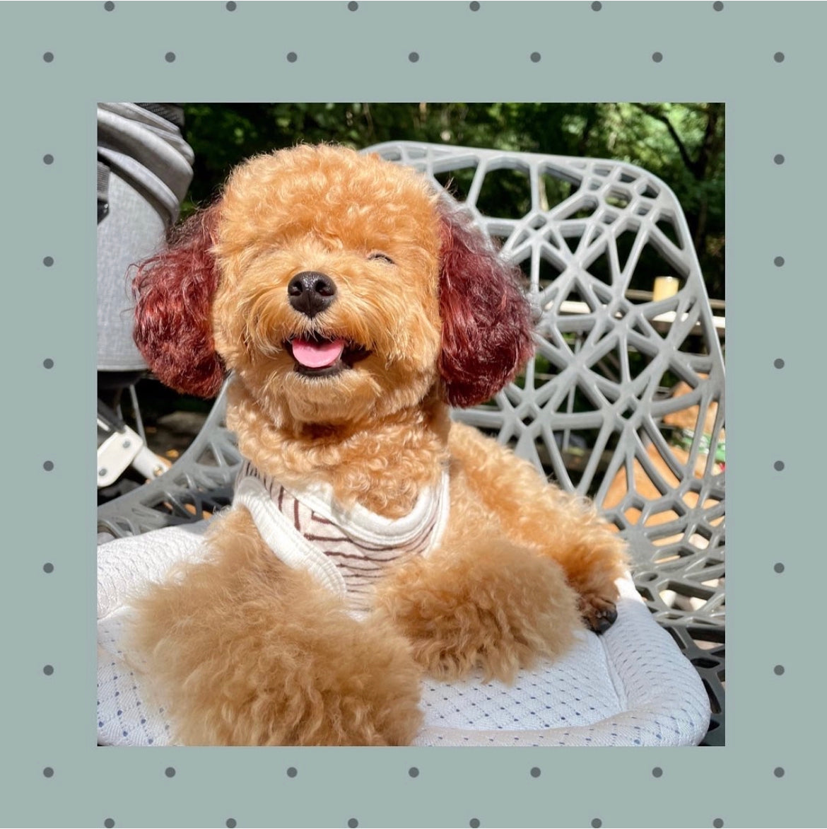 SALEコットンリバーシブルベスト