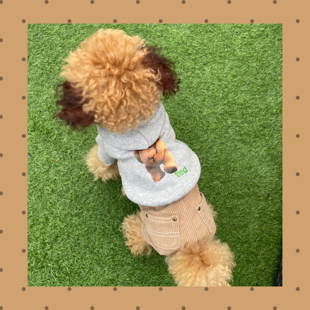 SALEテッドバックプリントフードT