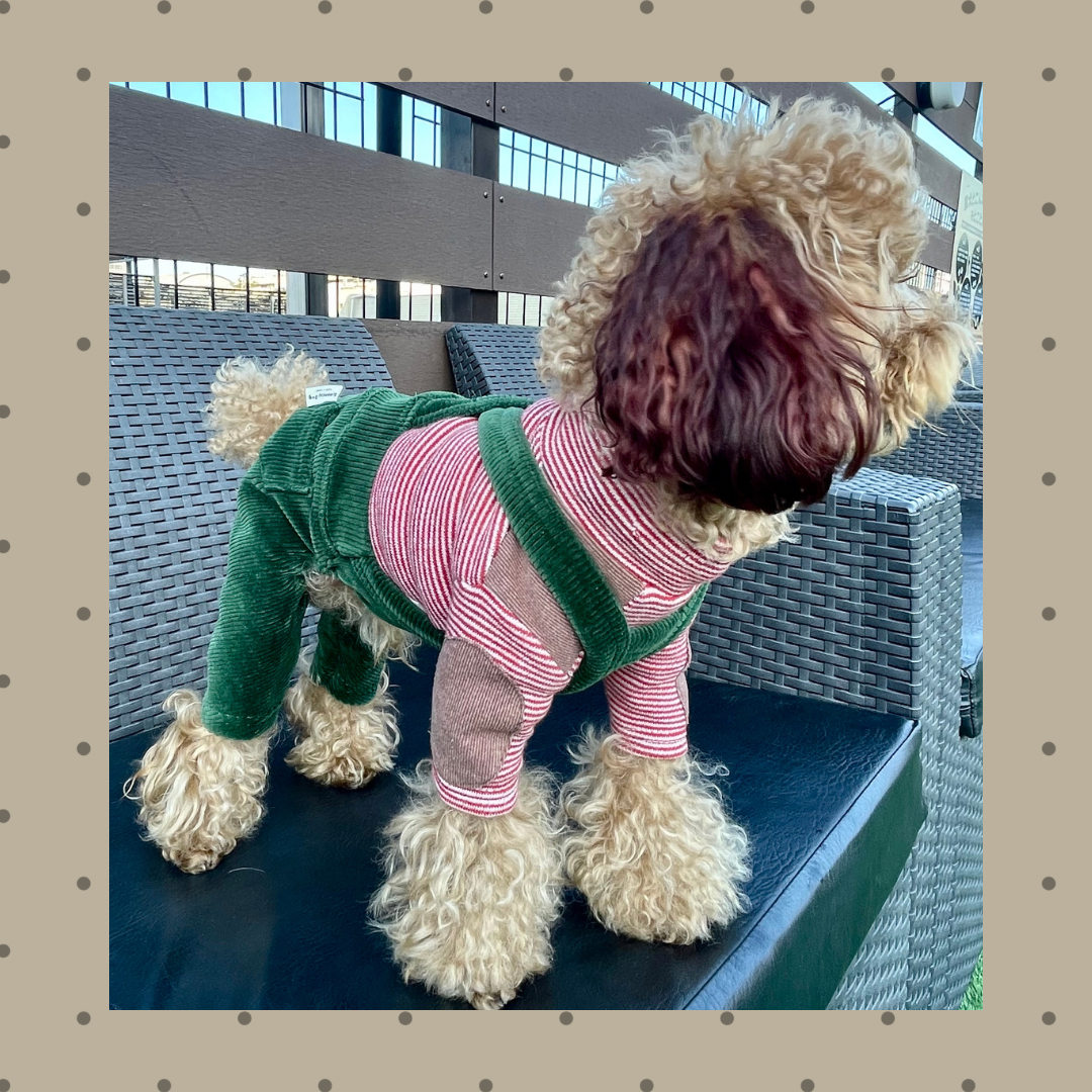 コードュロイサロペット