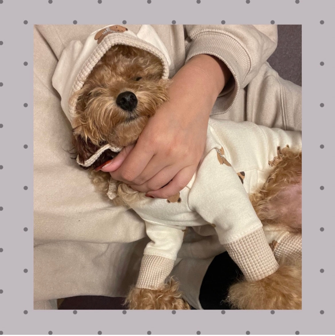 クマさん室内オールインワン (帽子別途)