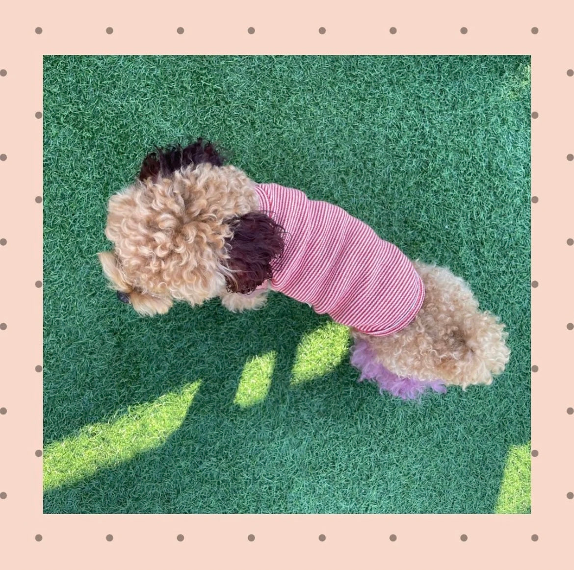 SALEストライプパッチTシャツ※