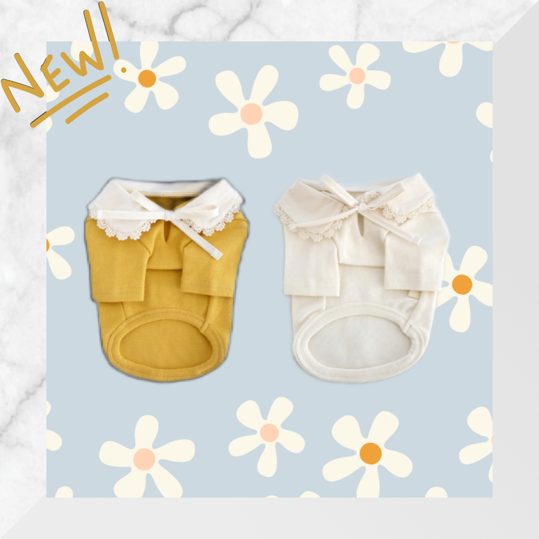 SALEラブリーレースT※