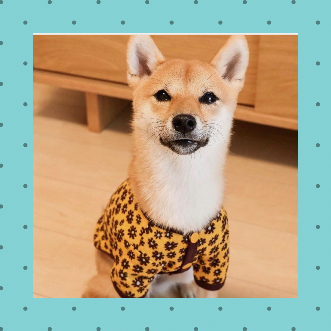 SALEレトロフラワーカーディガン※