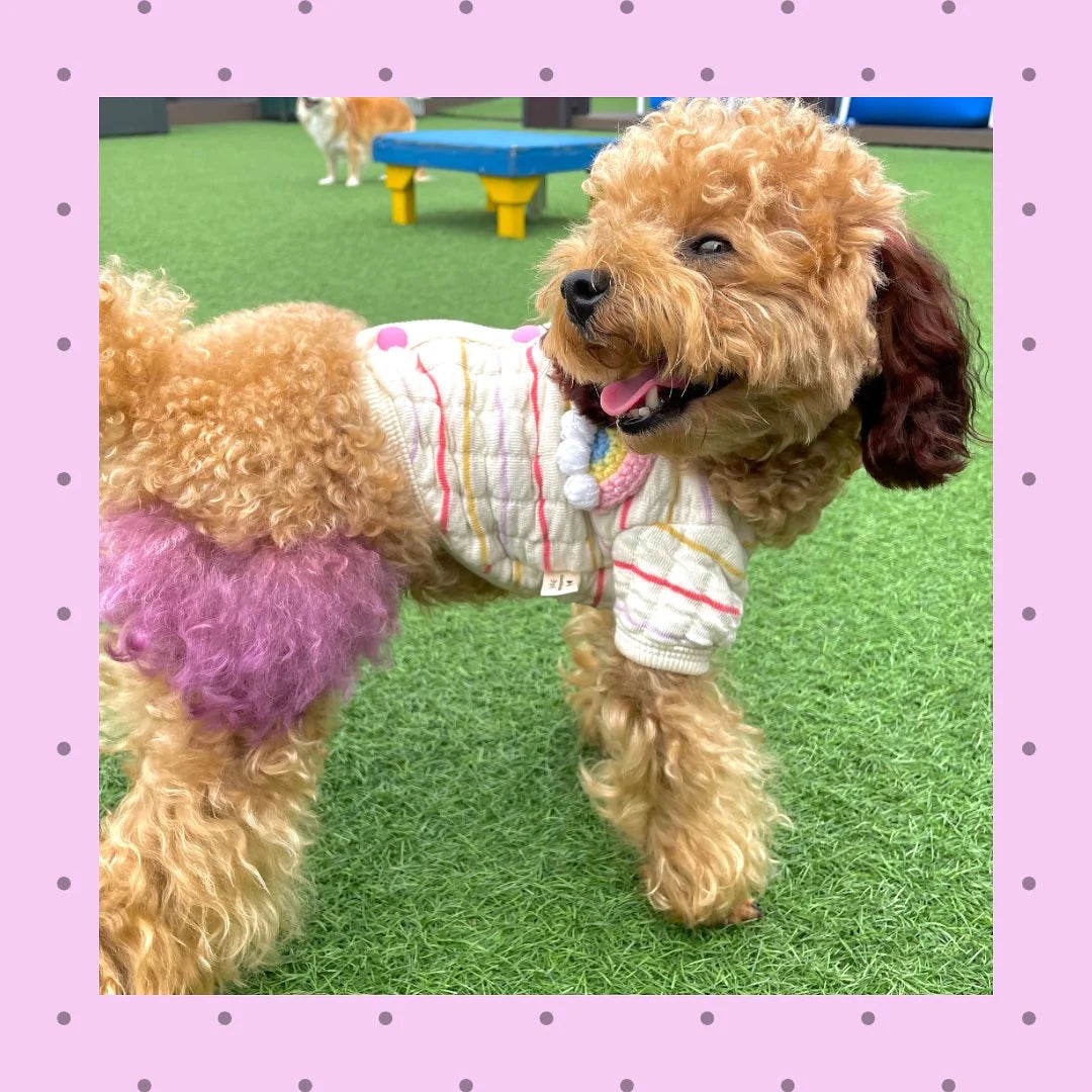 レインボーコットンカーディガン