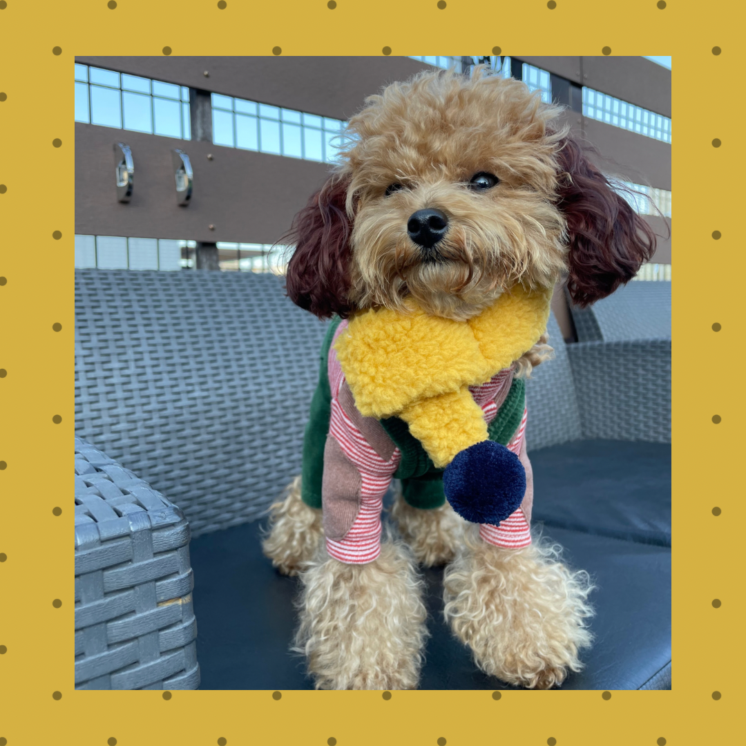 ぼんぼりマフラー