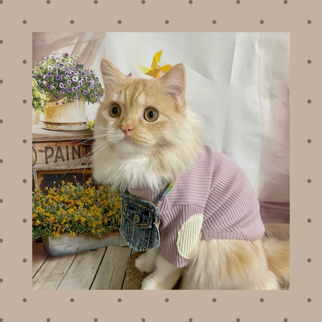 SALE  4colorパッチTシャツ※