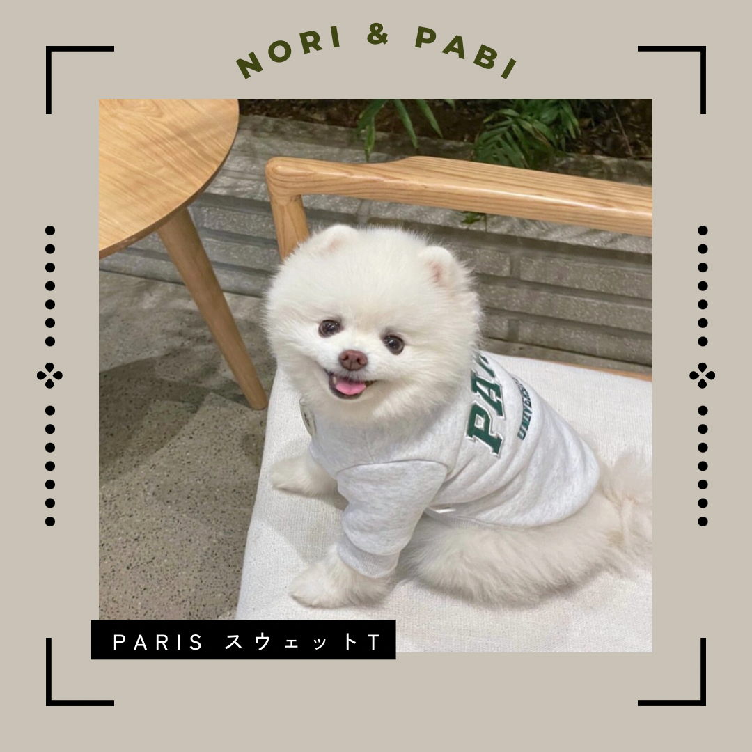 Paris スウェットT