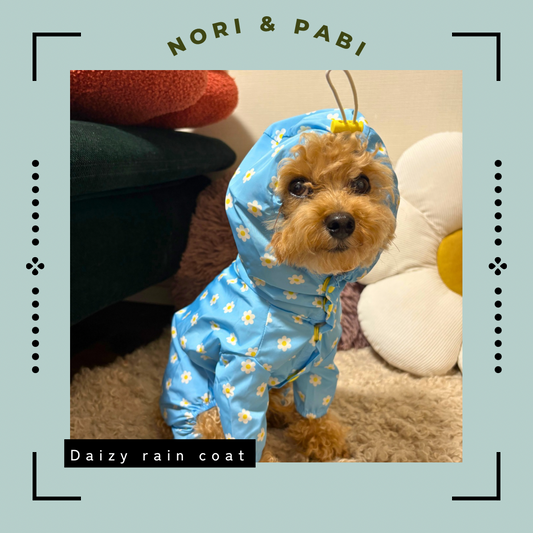 SALE   Daizy rain coat
